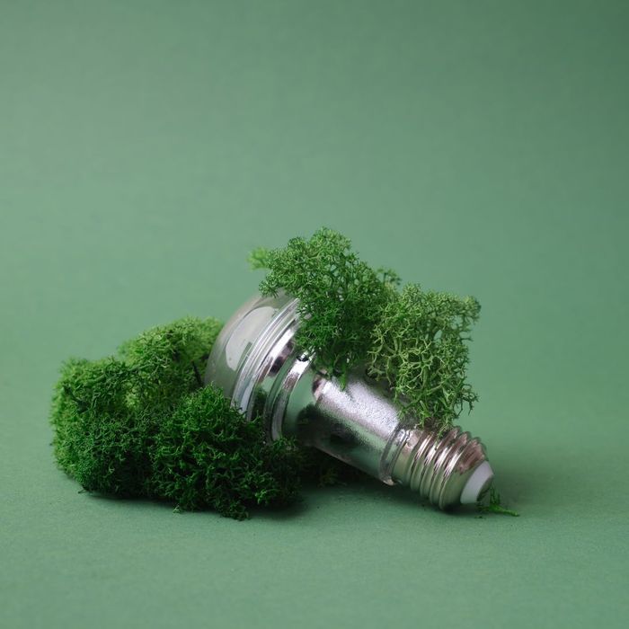 light bulb and greenery, energy savings concept light bulb and greenery, energy savings concept