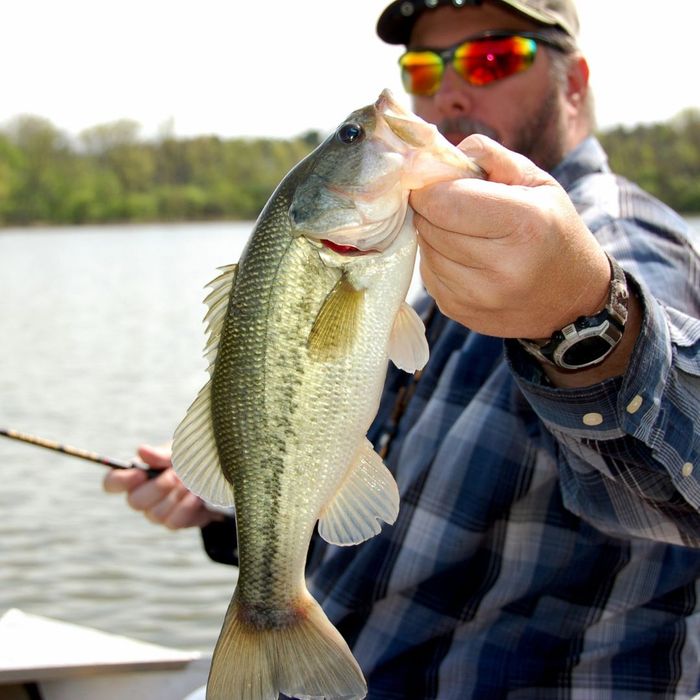 How Grease Management Protects Local Waterways in Cleveland (4).jpg