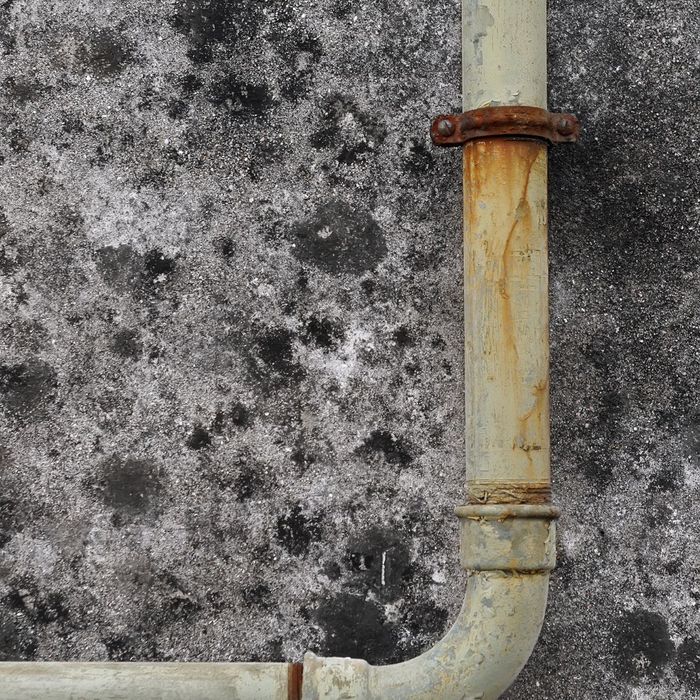 How Grease Management Protects Local Waterways in Cleveland (2).jpg