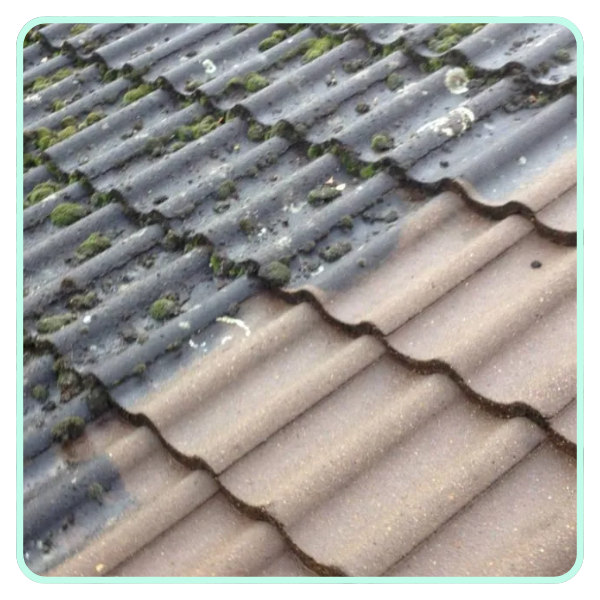 roofcleaning1.png