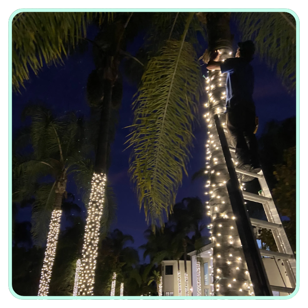 christmaslights2.png