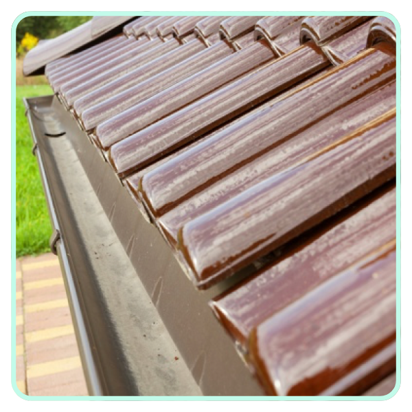 cleaned gutter cleaned gutter