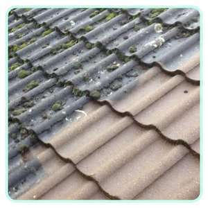 half cleaned roof