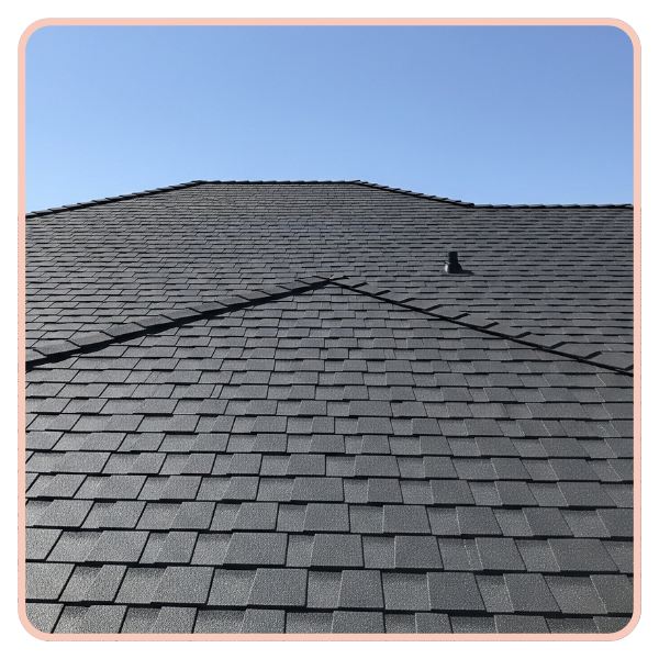 clean roof clean roof