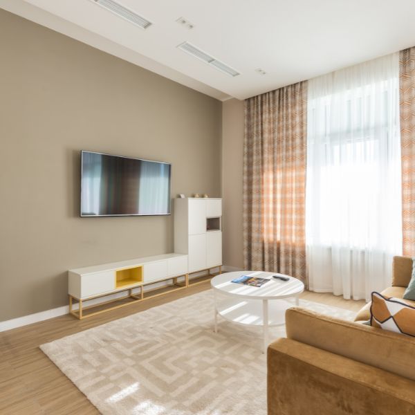living room with natural light coming in living room with natural light coming in