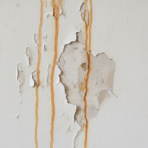 Untitled design (8).png