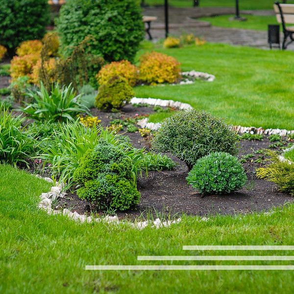Landscaping with garden full of bushes and a bench. Landscaping with garden full of bushes and a bench.