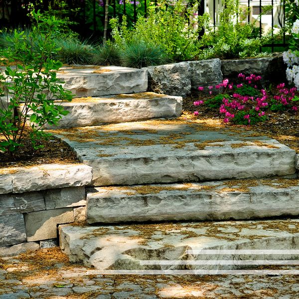 Garden stairs flanked by low retaining walls