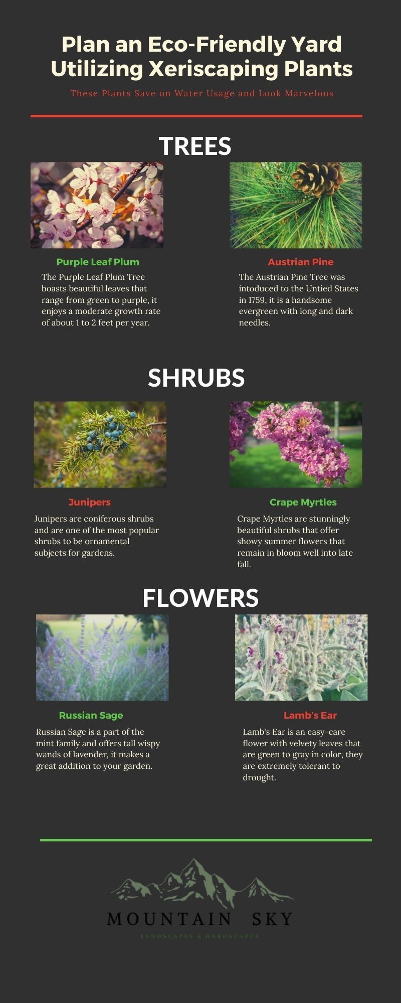 eco-friendly plants Infographic.jpg