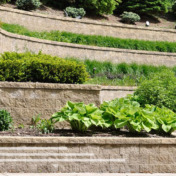 Multiple terraces of landscaped retaining walls