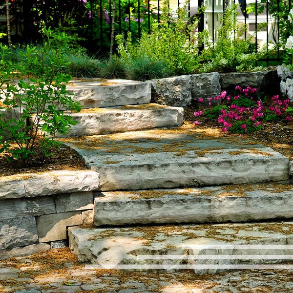 Stone steps with plants along the sides. Stone steps with plants along the sides.