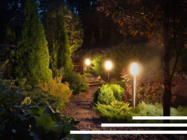 Night image of lit walkway through garden