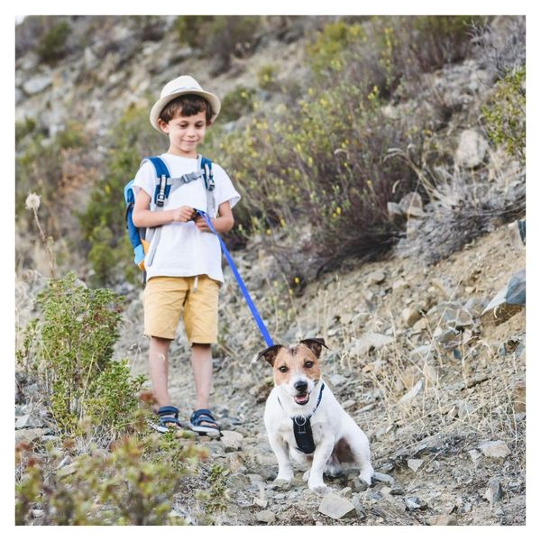 child and leashed dog on hike