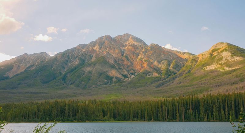 Wildlife Watching in Jasper East What to Look For header.jpg