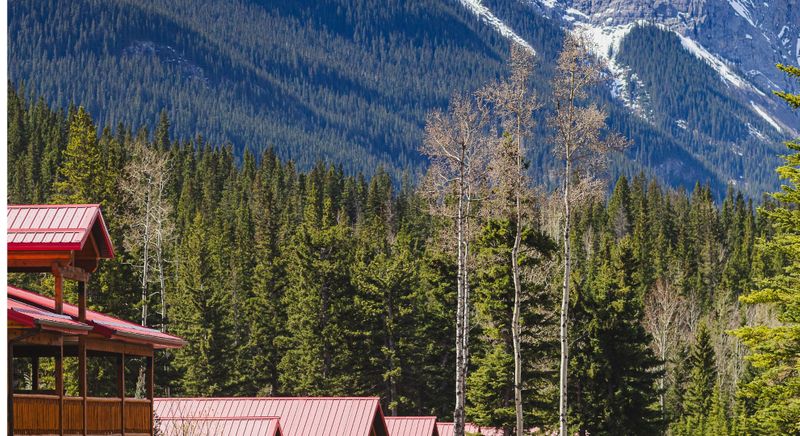 The History of Beer Brewing in the Canadian Rockies header (2).jpg