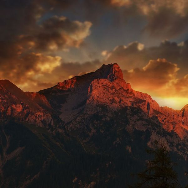 Why Choose Jasper East Cabins for Your Next Adventure 1.jpg