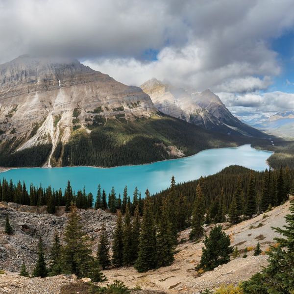 Family-Friendly Activities Near Jasper East Cabins 4.jpg