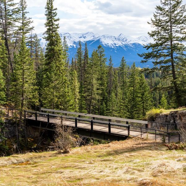 Family-Friendly Activities Near Jasper East Cabins 1.jpg