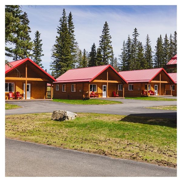 Jasper East cabins exterior with trees behind them