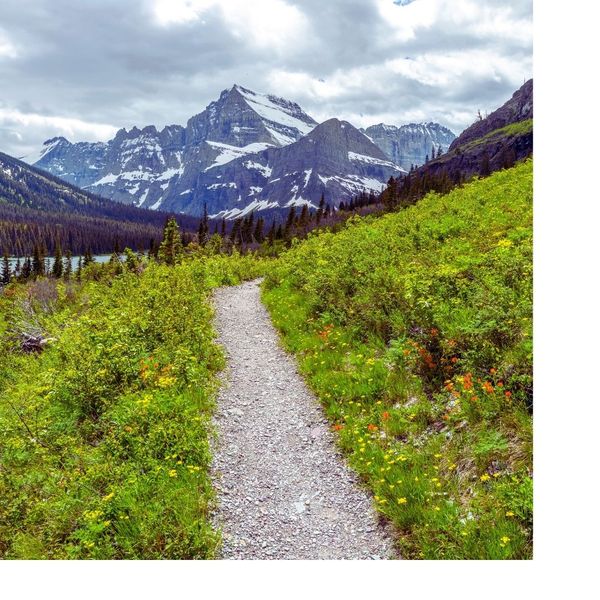 view of trail and snow topped mountains