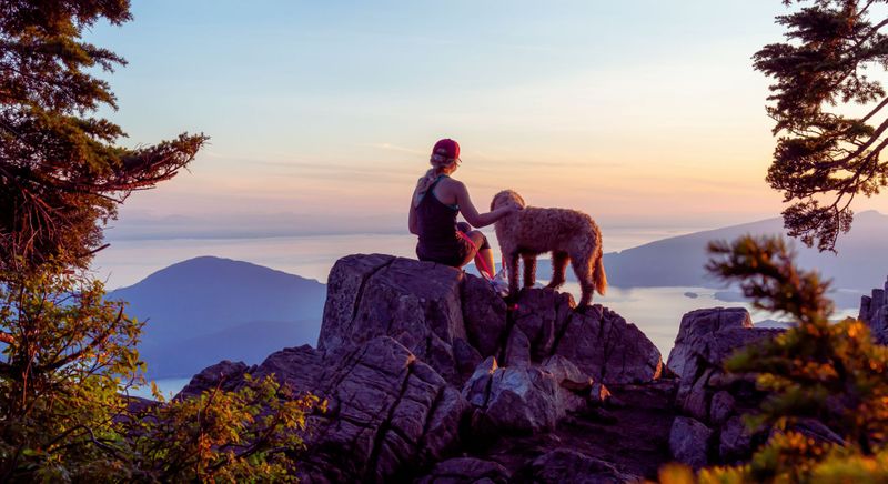 person hiking with their dog