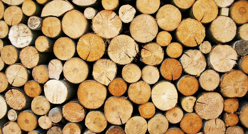 From Forest to Financials_ Optimizing Your Lumber Business Accounting for Growth.jpg