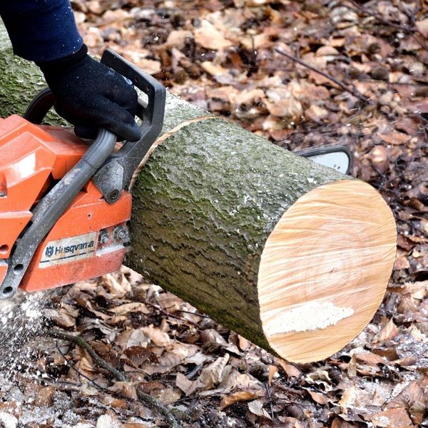 1 From Forest to Financials_ Optimizing Your Lumber Business Accounting for Growth.jpg