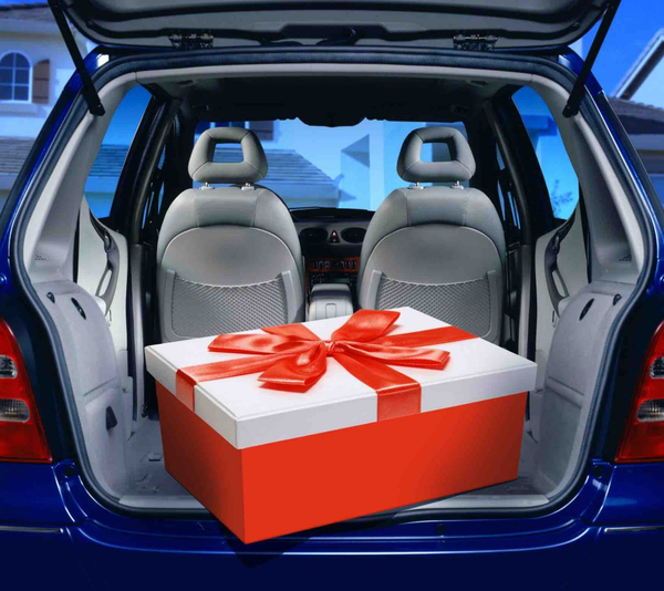 image of a gift in a trunk