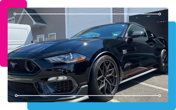 Black mustang