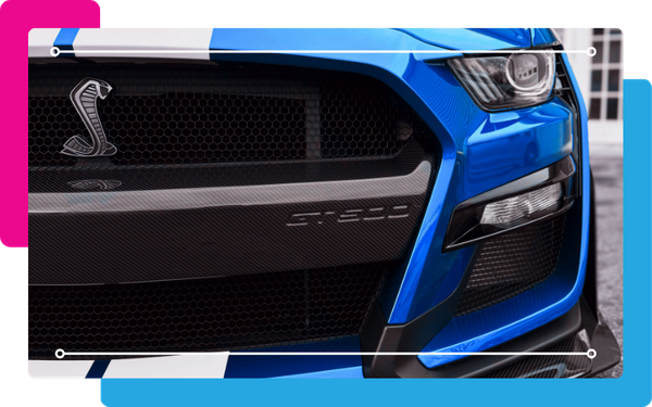 Corba mustang