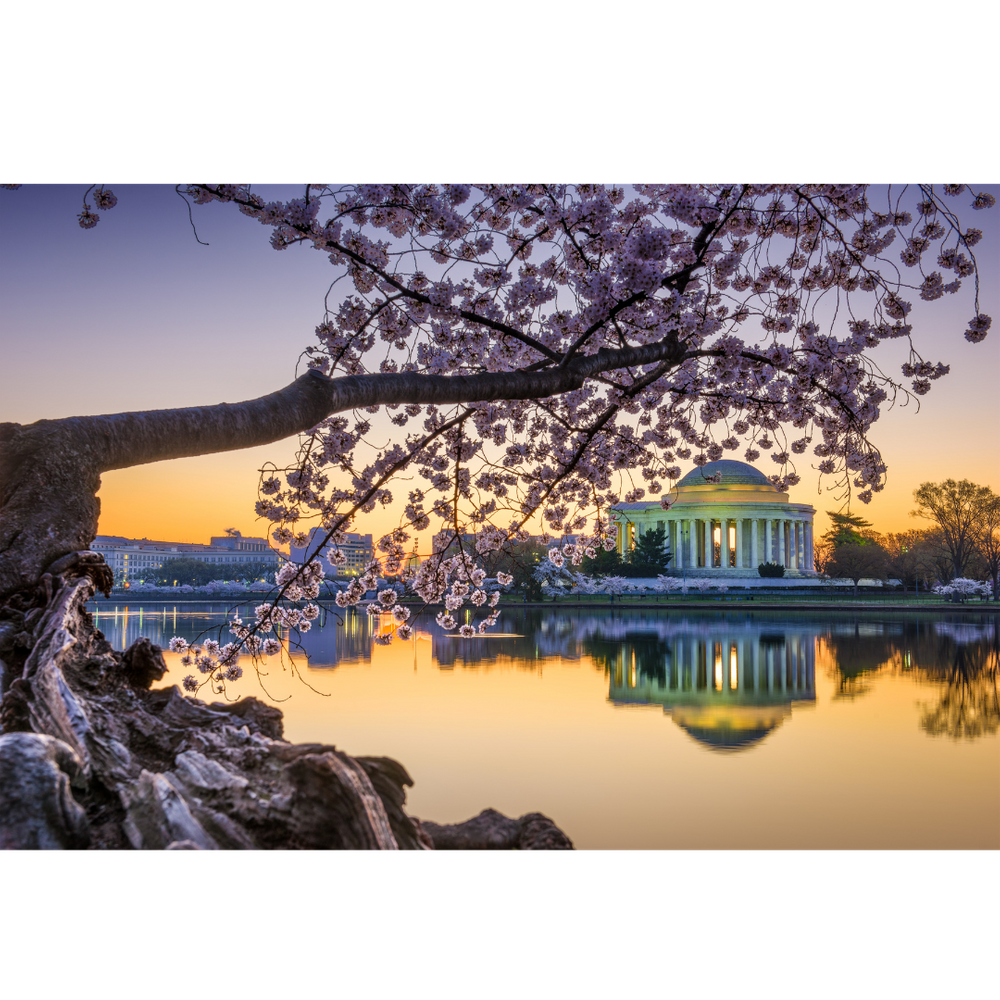 Dionne Joi's guide to wellness in DC