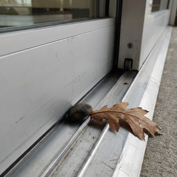 close-up of the door's bottom track showing a pebble and a leaf obstructing the path