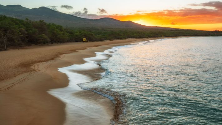 Our Guide to Choosing Reliable Commercial Doors in Hawaii Hero.jpg