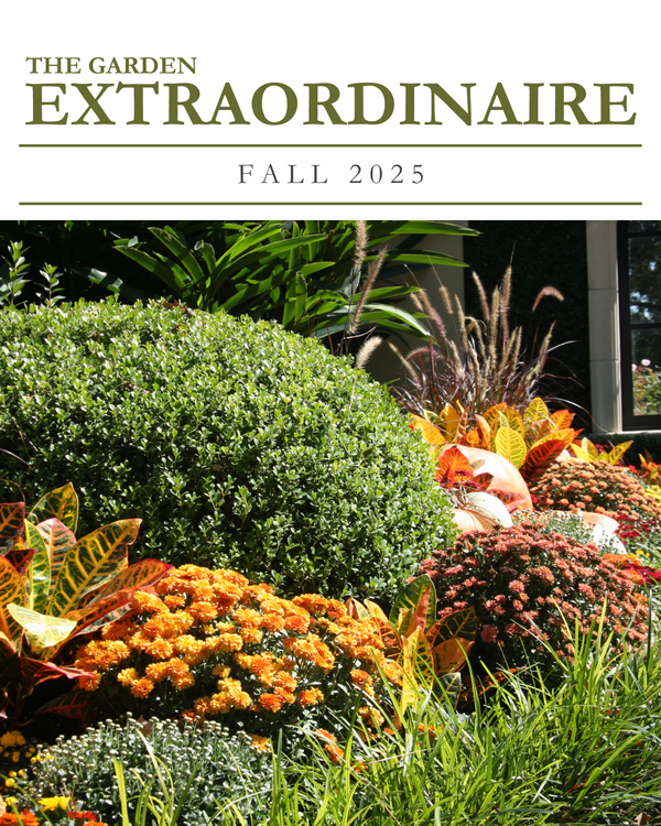 Mcdugald Steele-Houston-Landscape-Architect.png