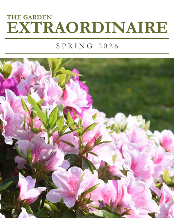 Azalea-experts-houston-texas-landscape-maintenance-luxury-river-oaks-mcdugald-steele.png