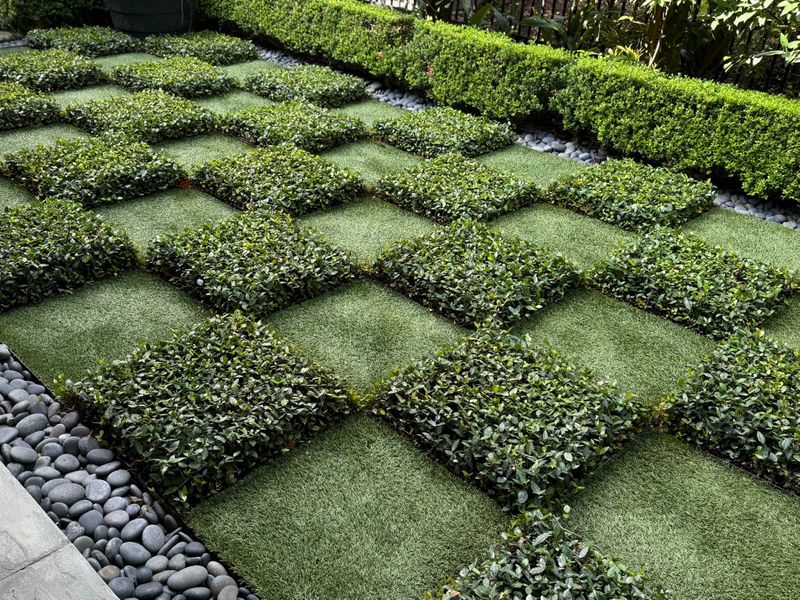 asian-jasmine-checkerboard-landscape-design-McDugald-Steele-garden-management-Houston-Texas-luxury-landscaping.jpg