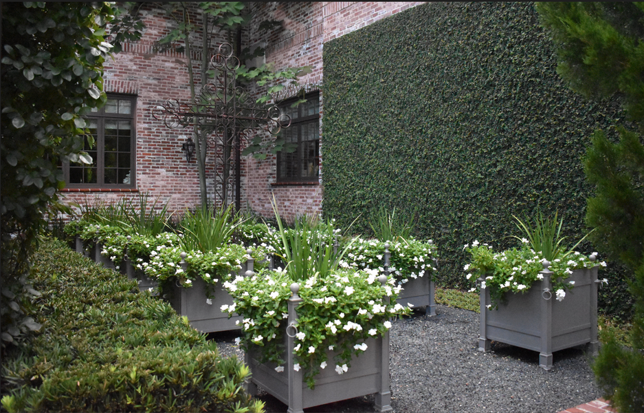 Trailing Vincas.PNG