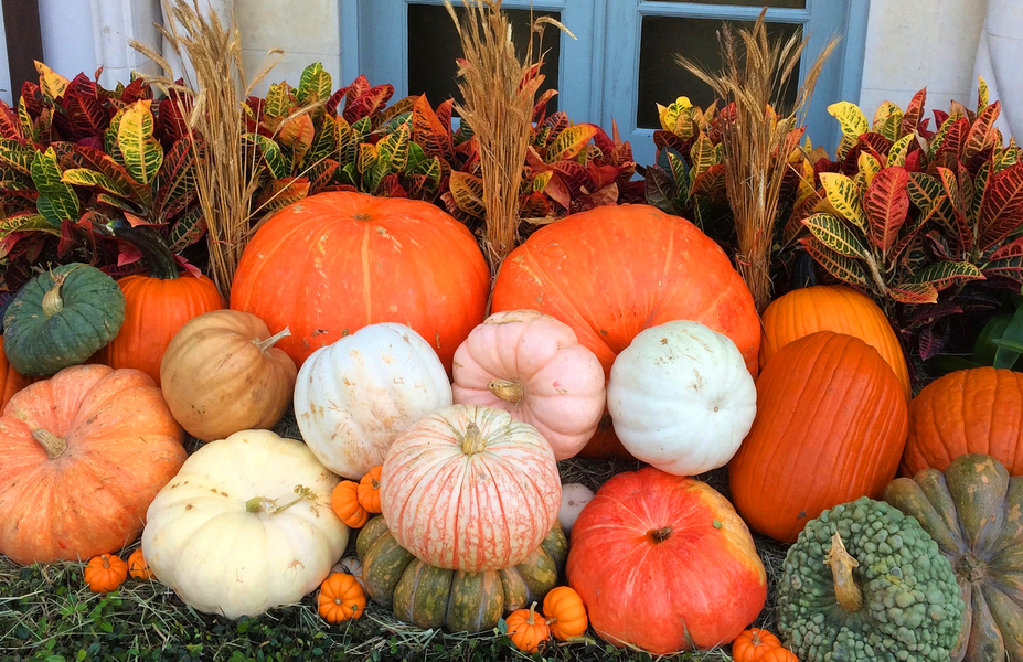 Fall Pumpkin Display.png