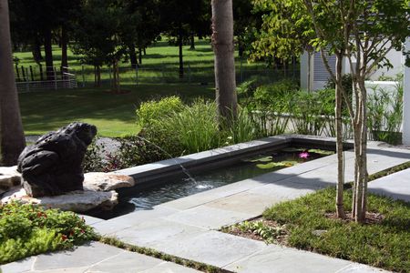 Water feature with a stone toad spitting a stream of water into a small rectangular pond with lily pads