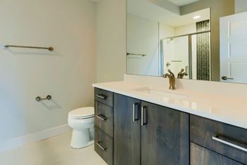 Downstairs Bathroom 1.jpg