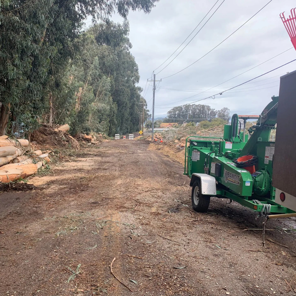 Tree Removal 3.png