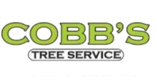 Cobb's Tree