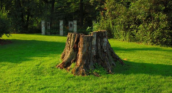 4 Benefits - Hero.jpg