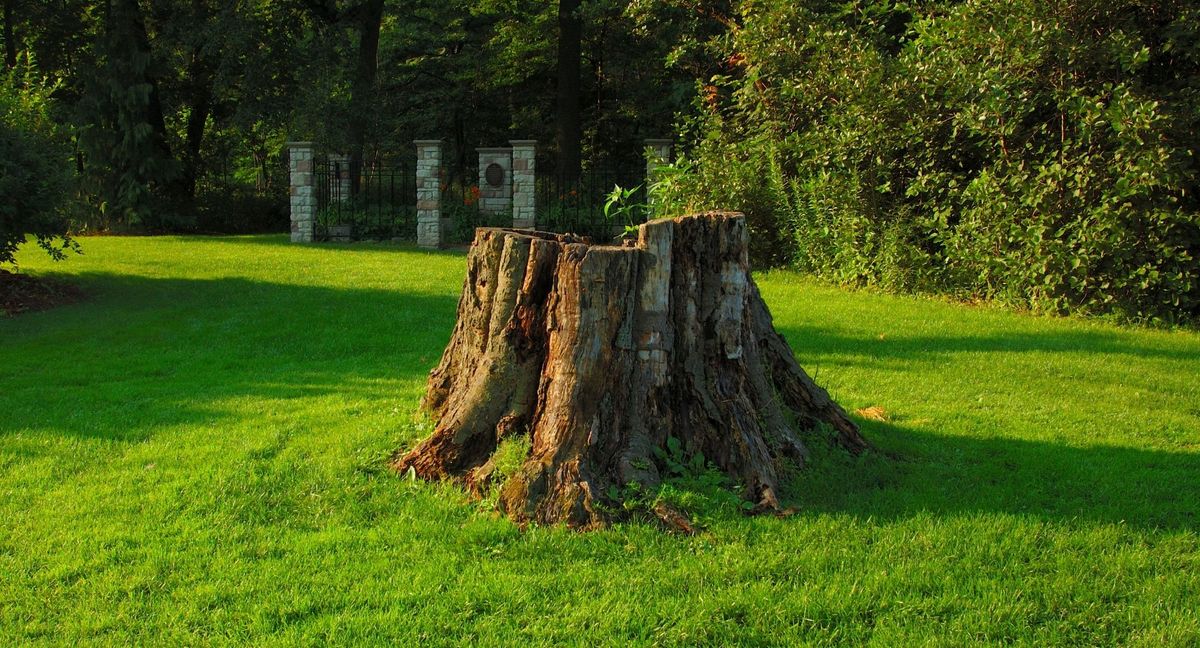 4 Benefits - Hero.jpg