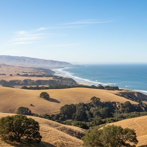 A sweeping view of dry, golden California coastal hills and bluffs leading down to a pristine beach and the deep blue Pacific Ocean under a clear sky.