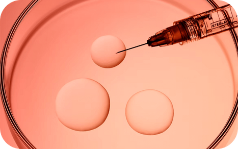 servicemedical (3).png