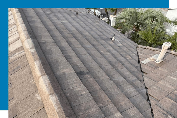 roof washing after photo roof washing after photo