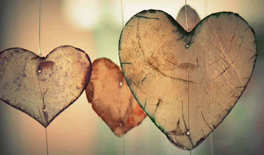 hearts made of wood and leafs hearts made of wood and leafs