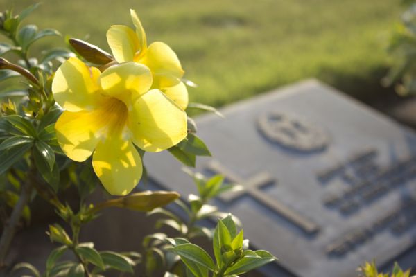 headstone with flowers
