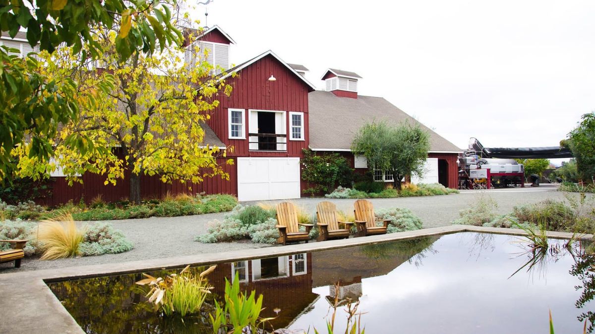 frogs-leap-winery-listing-feature-sthelena.jpg